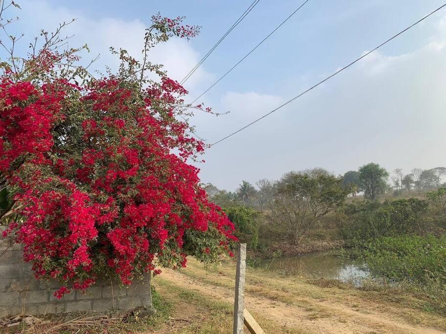 Sattva Farmstay Bangalore Exterior photo